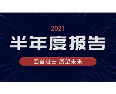 海利尔药业集团2021年半年度报告