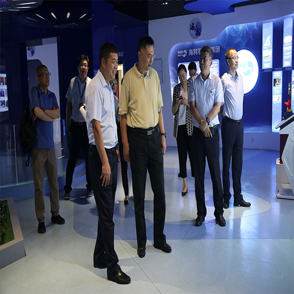 Zhu Tieyi, director of Qingdao Science and Technology Bureau, went to the group to investigate.